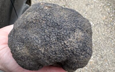 Saison 2025-26, « Tout commença si bien pour s’arrêter brutalement »