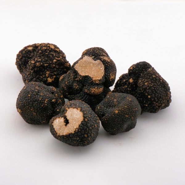 ets-maire-tuber-aestivum-5-600x600.jpeg